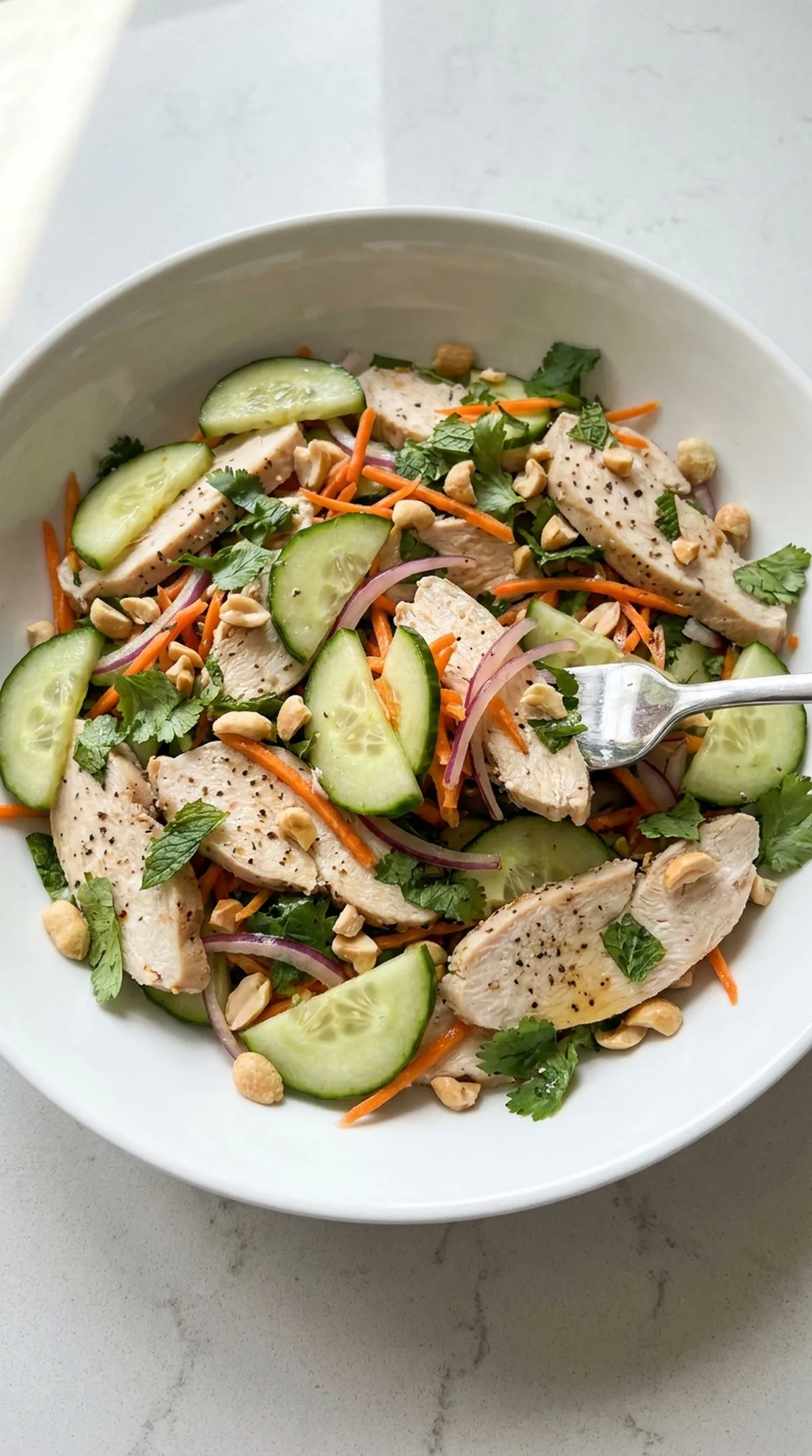 Thai Cucumber Salad with Chicken finished recipe