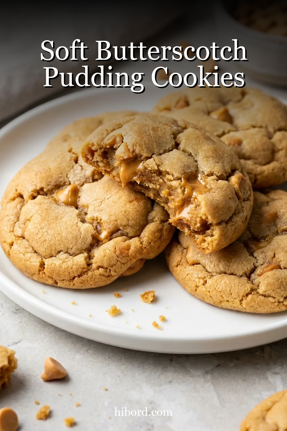 Soft Butterscotch Pudding Cookies