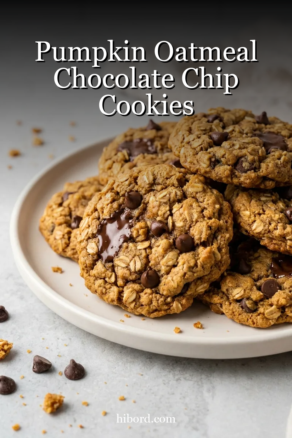 Pumpkin Oatmeal Chocolate Chip Cookies