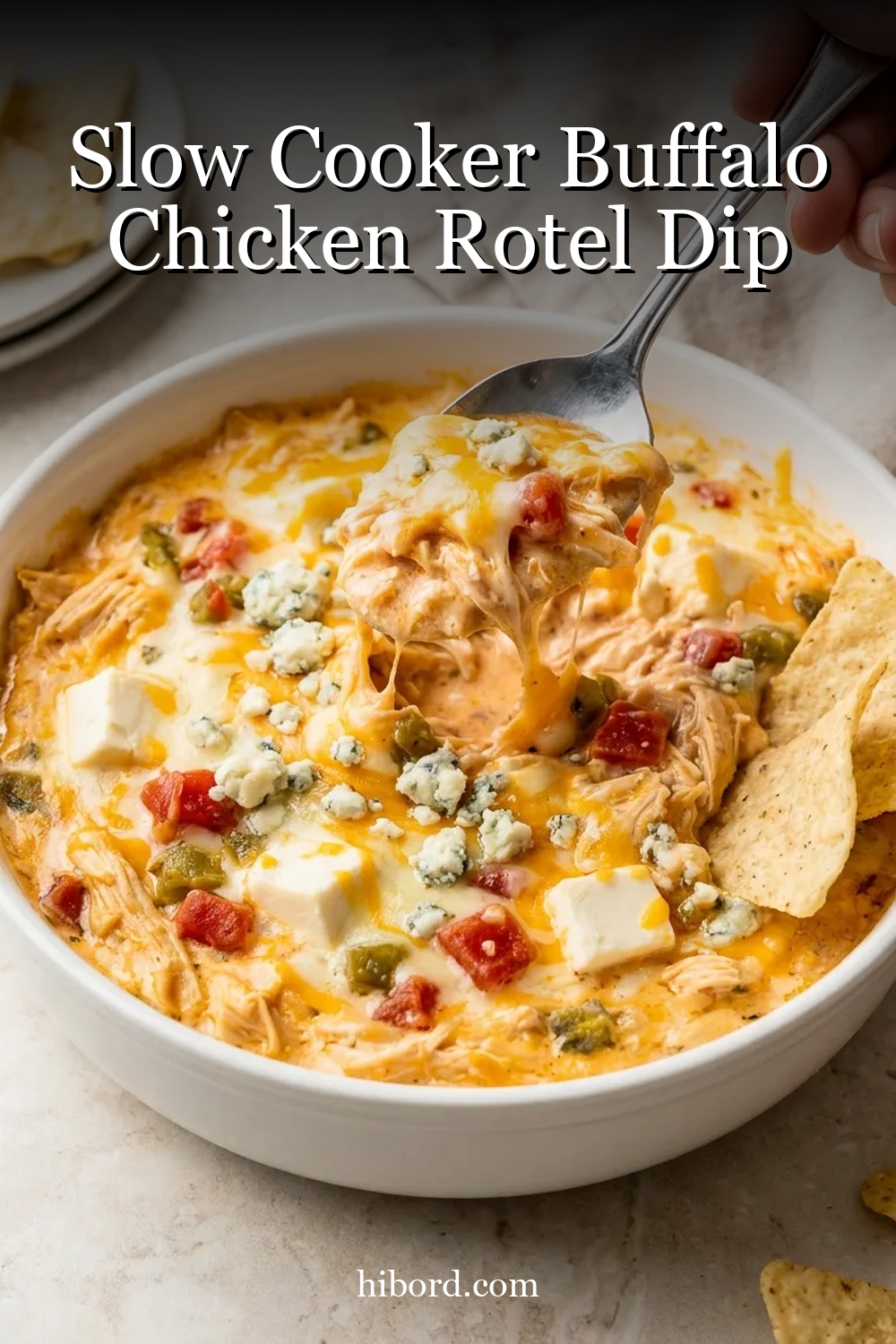 Slow Cooker Buffalo Chicken Rotel Dip